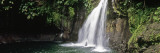 Waterfall in a Forest, Saut De La Lezarde, Basse-Terre, Guadeloupe Vinilos decorativos por Panoramic Images Waterfall in a Forest, Saut De La Lezarde, Basse-Terre, Guadeloupe Vinilos decorativos por Panoramic Images