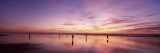 Group of People Watching the Sunset, San Francisco, California, USA Vinilos decorativos por Panoramic Images Group of People Watching the Sunset, San Francisco, California, USA Vinilos decorativos por Panoramic Images
