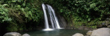 Waterfall in a Forest, Cascade Aux Ecrevisses, Guadeloupe National Park, Guadeloupe Vinilos decorativos por Panoramic Images Waterfall in a Forest, Cascade Aux Ecrevisses, Guadeloupe National Park, Guadeloupe Vinilos decorativos por Panoramic Images