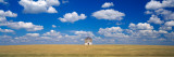 Barn in the Farm, Grant County, Minnesota, USA Wall Decal by Panoramic Images 