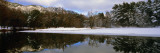 Reflection of Fir Trees in a Lake, French Riviera, Provence-Alpes-Cote D'Azur, France Vinilos decorativos por Panoramic Images