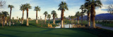 Palm Trees in Golf Course, Desert Springs Golf Course, Palm Springs, Riverside County, California Wall Decal by Panoramic Images 