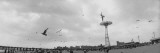 Tourists on the Beach, Coney Island, Brooklyn, New York City, New York State, USA Wall Decal by Panoramic Images 