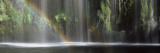 Rainbow Formed in Front of Waterfall in a Forest, Near Dunsmuir, California, USA Vinilos decorativos por Panoramic Images Rainbow Formed in Front of Waterfall in a Forest, Near Dunsmuir, California, USA Vinilos decorativos por Panoramic Images