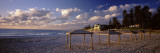 Sunshades on the Beach, Indiana Tea House, Cottesloe Beach, Perth, Western Australia, Australia Vinilos decorativos por Panoramic Images Sunshades on the Beach, Indiana Tea House, Cottesloe Beach, Perth, Western Australia, Australia Vinilos decorativos por Panoramic Images