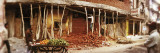 Building under Construction, New Delhi, Delhi, India Wall Decal by Panoramic Images 