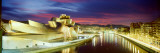 Buildings Lit Up at Dusk, Guggenheim Museum Bilbao, Bilbao, Vizcaya, Spain Wall Decal by Panoramic Images 