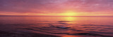 Sunset over the Sea, Venice Beach, Sarasota, Florida, USA Wall Decal by  Panoramic Images