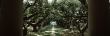 Oak Trees in Front of a Mansion, Oak Alley Plantation, Vacherie, Louisiana, USA Wall Decal by Panoramic Images 
