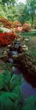 Azaleas in a Garden, Exbury Gardens, New Forest, Hampshire, England Wall Decal by Panoramic Images 