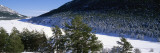 Trees on a Snow Covered Landscape, French Riviera, Provence-Alpes-Cote D'Azur, France Vinilos decorativos por Panoramic Images