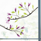 Magnolien Wandabziehbild