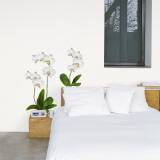 White Orchid Wall Decal