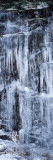 Icicles Formation on Rocks, Great Smoky Mountains National Park, North Carolina, USA Vinilos decorativos por Panoramic Images Icicles Formation on Rocks, Great Smoky Mountains National Park, North Carolina, USA Vinilos decorativos por Panoramic Images