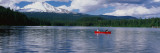 Mt Hood, OR Wall Decal by  Panoramic Images