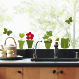 Flowerpots  (Window Decal) Autocollant mural