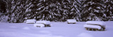 Snow Covered Picnic Tables on a Landscape, Banff National Park, Alberta, Canada Wall Decal by Panoramic Images 