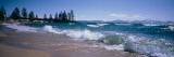 Trees Along a Lake, Lake Tahoe, Nevada, USA Vinilos decorativos por Panoramic Images Trees Along a Lake, Lake Tahoe, Nevada, USA Vinilos decorativos por Panoramic Images