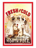 Fresh and Cold, Direct from the North Pole Wall Decal by F. Klemm