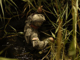 A US Army Soldier Searches for Three Missing Soldiers in Yusifiyah, Iraq, May 15, 2007 Photographic Print by Stocktrek Images 