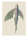 Winged Fish Autocollant mural par J. Forbes