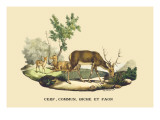 Stag, Doe and Fawn Wall Decal by E.f. Noel