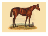 Ormond Wall Decal by L. Penicaut
