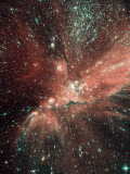 A Population of Infant Stars in the Milky Way Satellite Galaxy, the Small Magellanic Cloud Photographic Print by Stocktrek Images 