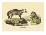 Civette Wall Decal by E.f. Noel