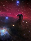 The Horsehead Nebula Photographic Print by Stocktrek Images 
