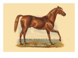 George Frederick Wall Decal by L. Penicaut