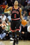 Chicago Bulls v Charlotte Bobcats, Charlotte, NC - January 12: Derrick Rose Photographie par Streeter Lecka