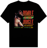 Ali-Day Of Destiny Shirts