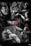 True Blood - Shattered Mirror Posters