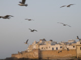 Town Ramparts Photographic Print by Olivier Cirendini