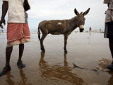 Two Workers Taking Break from Collecting Salt with a Donkey Between Them, Lake Asele Photographie par Johnny Haglund