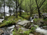 An Steall Waterfall That Cascading Down the Face of an Gearanach Above Glen Nevis Lámina fotográfica por Feargus Cooney An Steall Waterfall That Cascading Down the Face of an Gearanach Above Glen Nevis Lámina fotográfica por Feargus Cooney