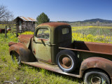 Old Truck in Russian River Valley. Lámina fotográfica por Jerry Alexander