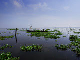 Canoe on Kerala's Backwaters Photographic Print by Felix Hug