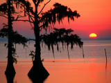 Sunrise at Lake Palourde with Spanish Moss Trees in Silhouette Photographic Print by John Elk III