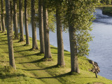 Trees by River Tweed Fotografisk trykk av Karl Blackwell
