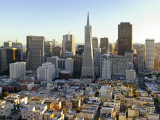 Transamerica Pyramid Building and Downtown from Top of Coit Tower Photographic Print by Emily Riddell