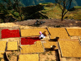 Zhuang Minority Girl Drying Rice and Red Pepper with Terraced Rice Paddies in Background Photographie par Keren Su