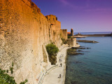 Chateau Royal and the Harbour at Collioure Photographie par Glenn Beanland