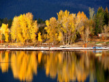 Autumn Colours on Shore of Lake Payette Lámina fotográfica por David Ryan