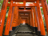 Traditional Torii with Inscriptions at Fushimi Inari Shrine Photographic Print by Christopher Groenhout