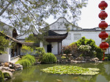 Garden of the Master of the Nets Photographic Print by Greg Elms