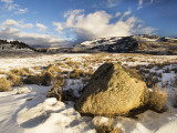 Winter in Lamar Valley Photographic Print by Douglas Steakley