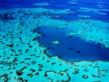 Aerial of Heart-Shaped Reef at Hardy Reef, Near Whitsunday Islands Photographic Print by Holger Leue
