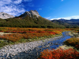 Lenga (Nothofagus) in Autumn Colours, Laguna Jakob Photographie par Grant Dixon